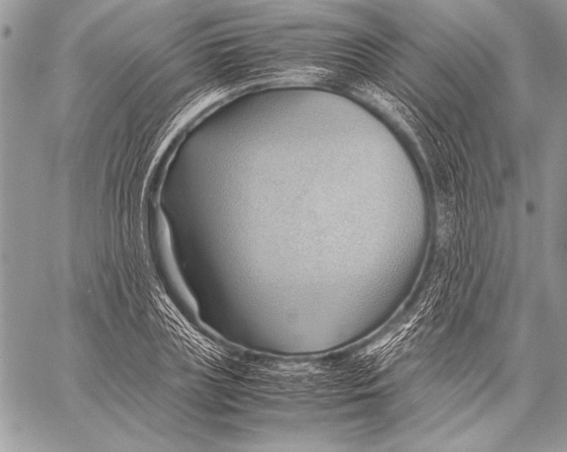 X0000057580835200510171705