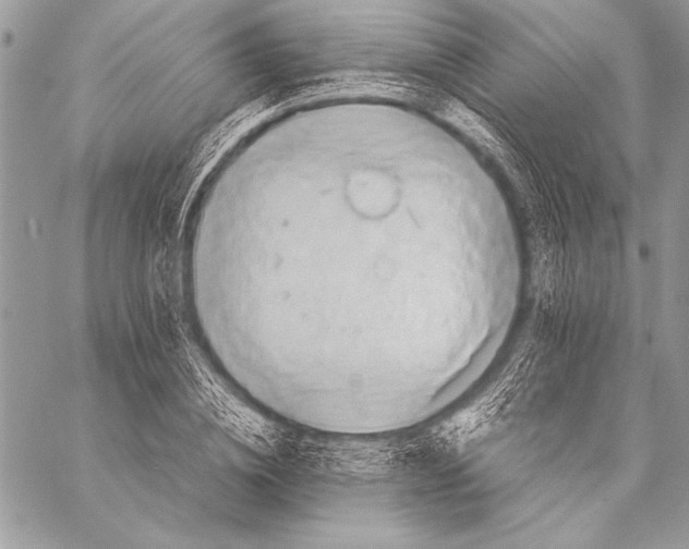 X0000057580836200510171705