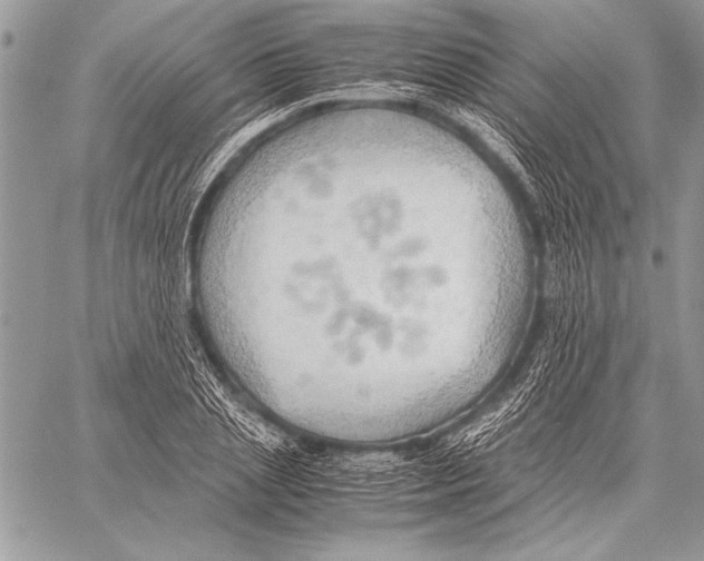 X0000057580837200510171705