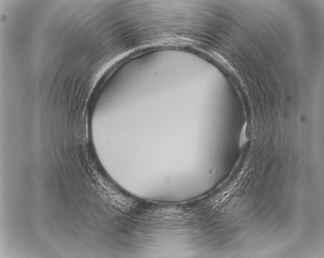 X0000057580838200510171705