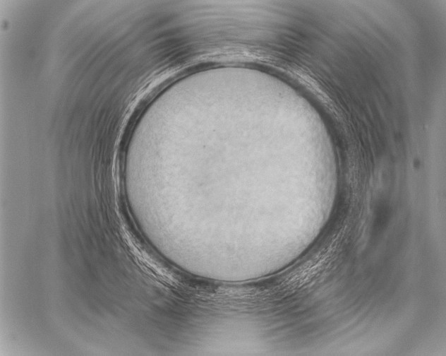 X0000057580840200510171706