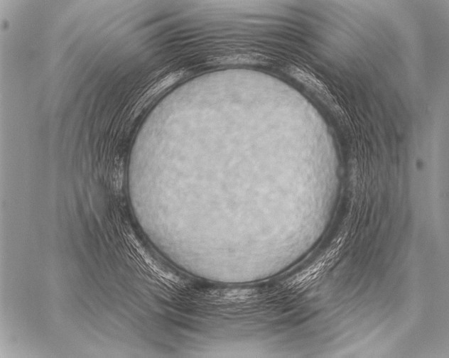 X0000057580841200510171706