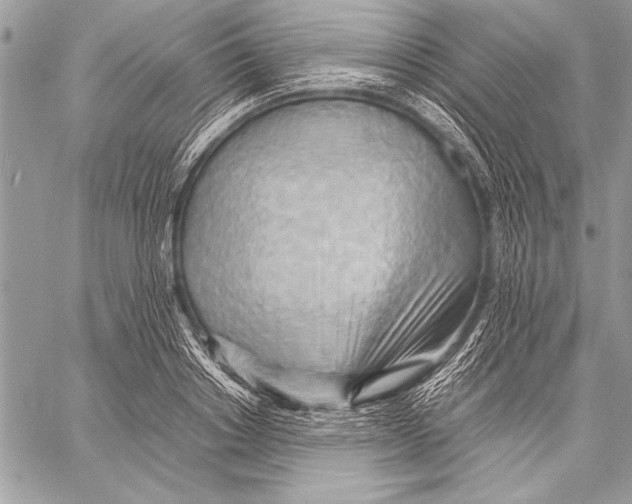 X0000057580842200510171706