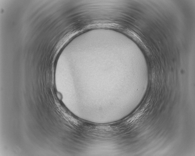 X0000057580844200510171706