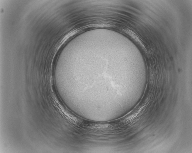 X0000057580845200510171706