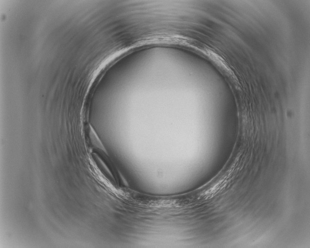 X0000057580846200510171706