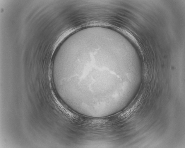 X0000057580847200510171706