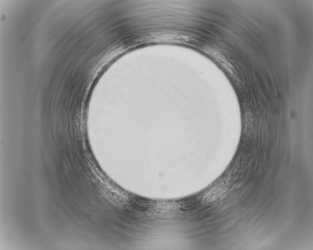 X0000057580848200510171706