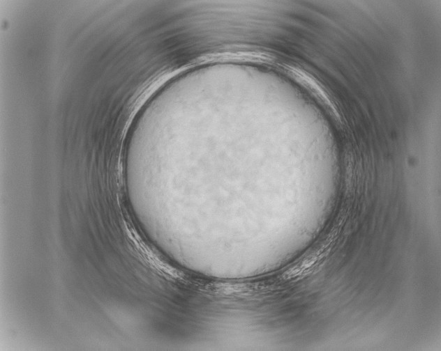 X0000057580852200510171706