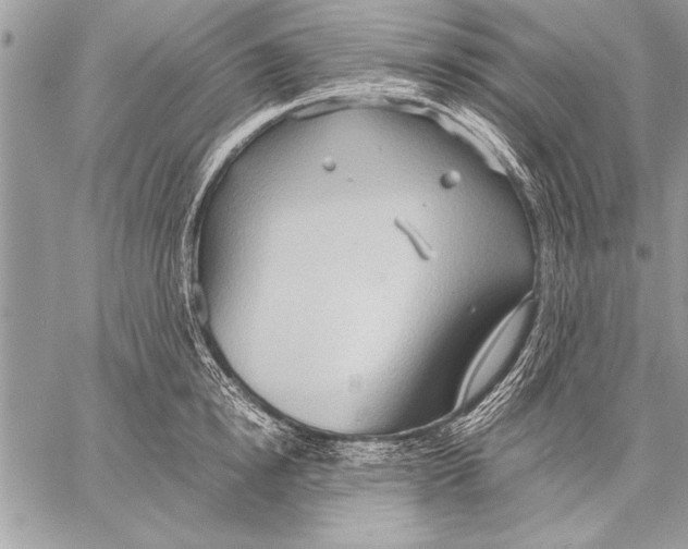 X0000057580854200510171706