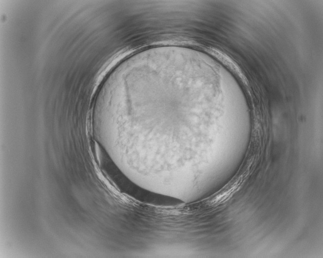 X0000057580855200510171706