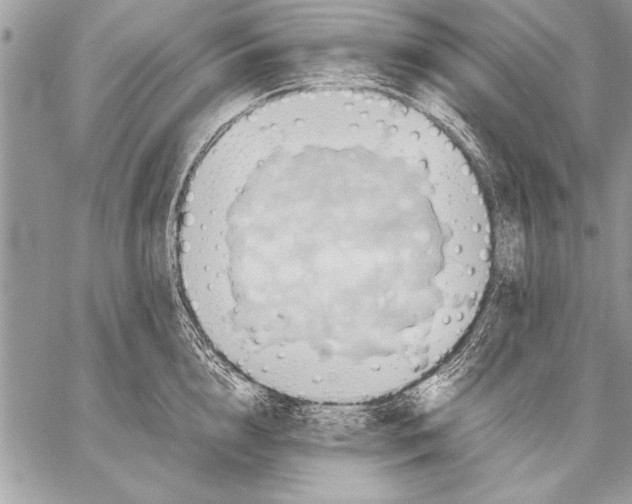 X0000057580856200510171706