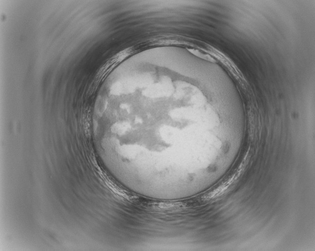 X0000057580857200510171706