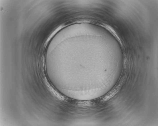 X0000057580859200510171706