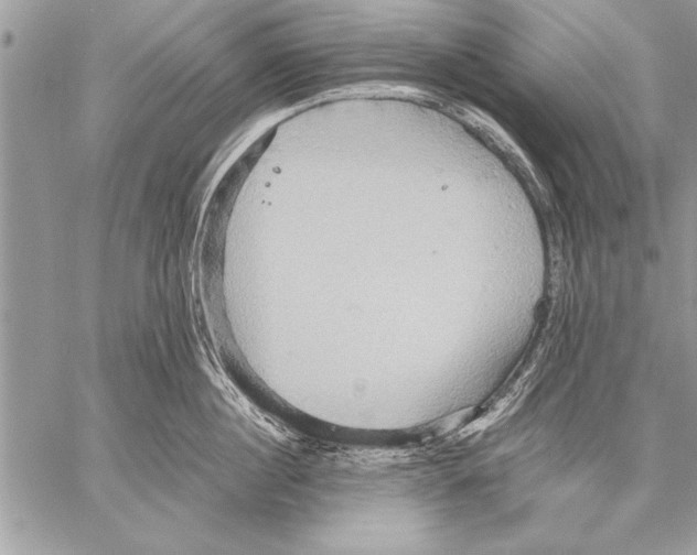 X0000057580860200510171706