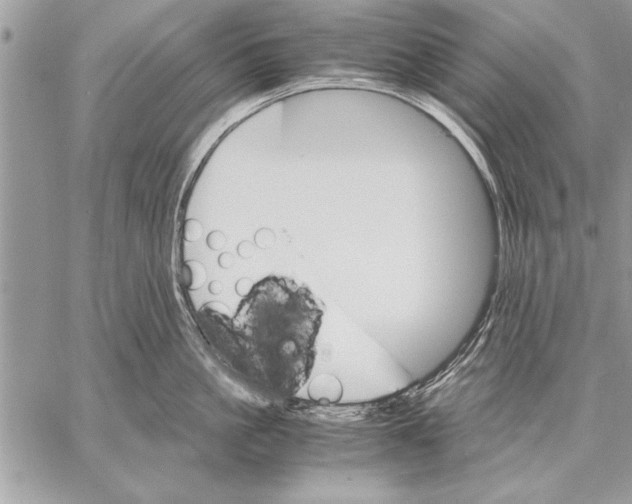 X0000057580861200510171706