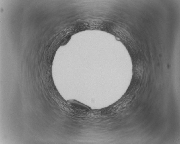 X0000057580865200510171705