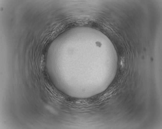 X0000057580867200510171705