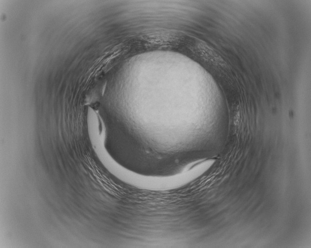 X0000057580868200510171705