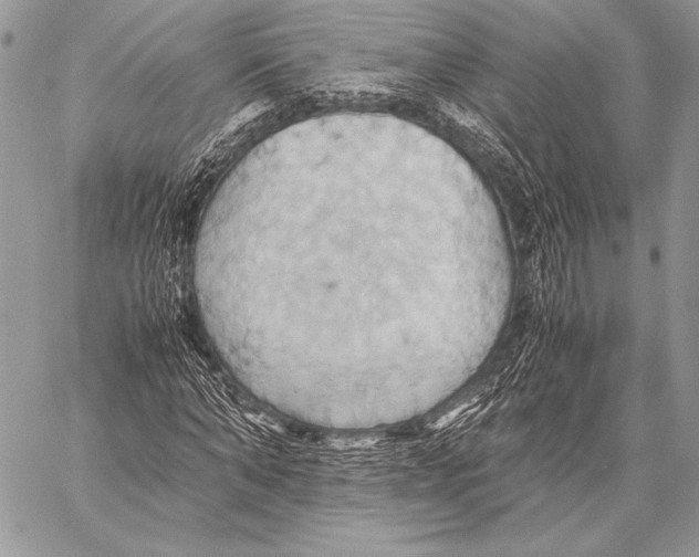 X0000057580870200510171705