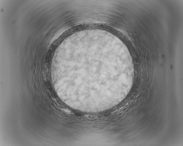 X0000057580871200510171705