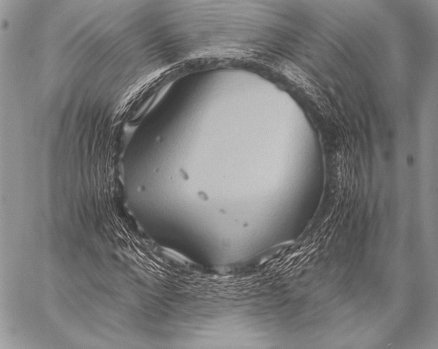 X0000057580872200510171705