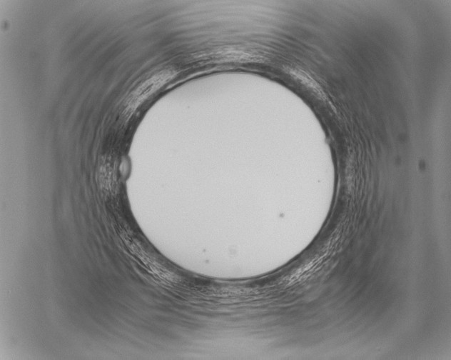 X0000057580873200510171705