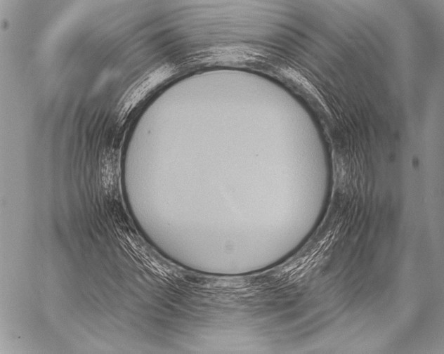 X0000057580874200510171705