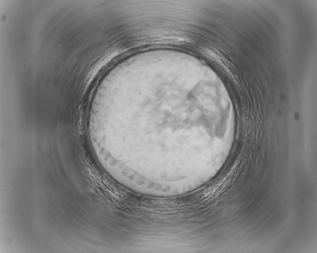 X0000057580875200510171705