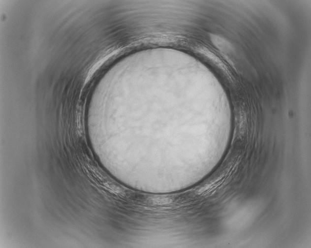 X0000057580878200510171705