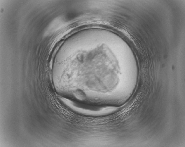 X0000057580879200510171705