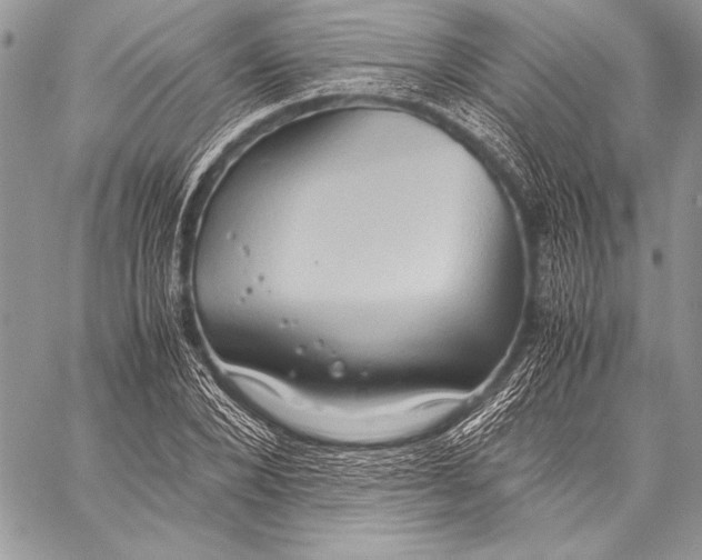 X0000057580880200510171705