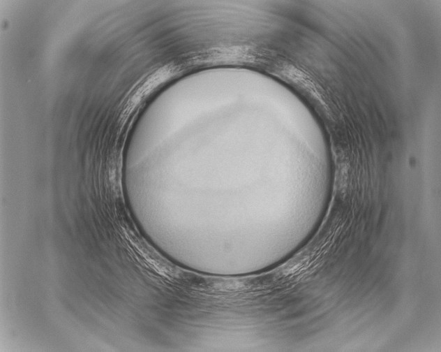 X0000057580882200510171705