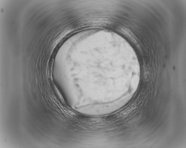 X0000057580883200510171705