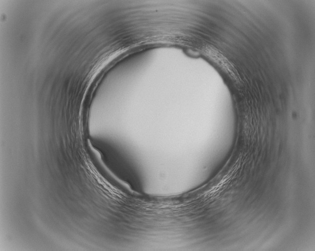 X0000057580884200510171705