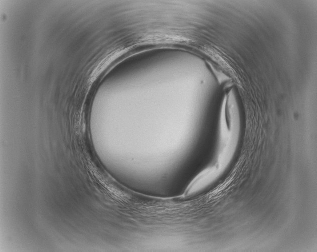 X0000057580885200510171705