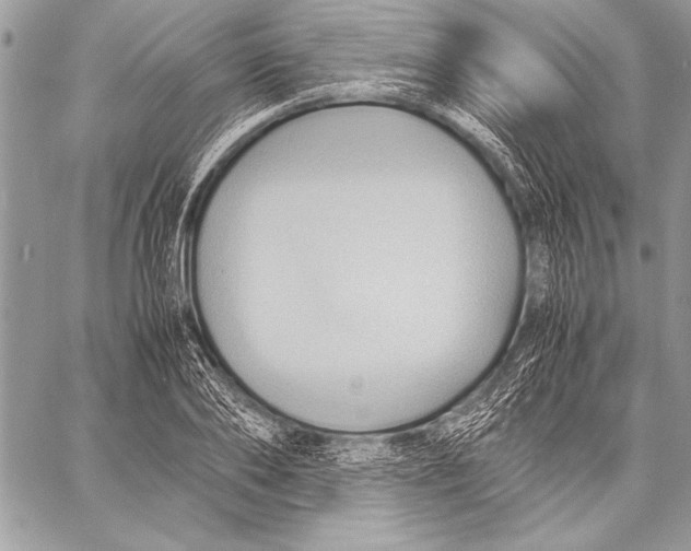 X0000057580886200510171705