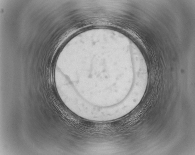 X0000057580887200510171705