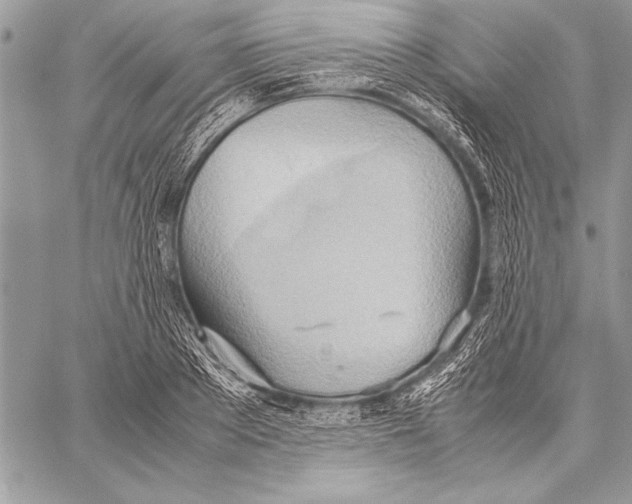 X0000057580889200510171705