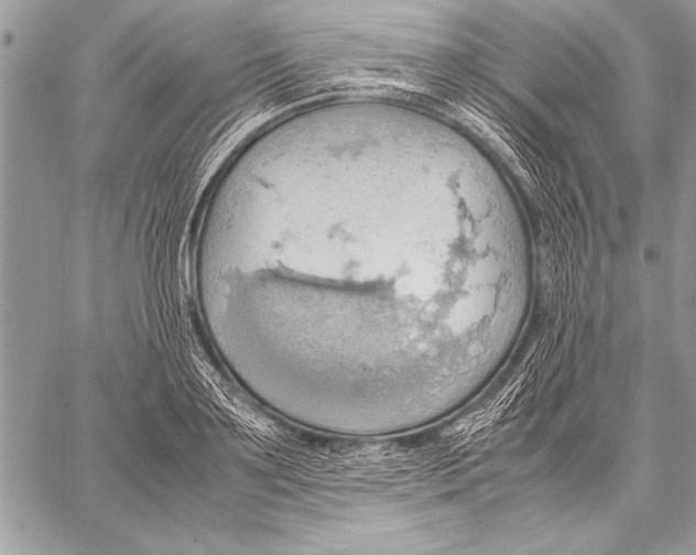 X0000057580891200510171705