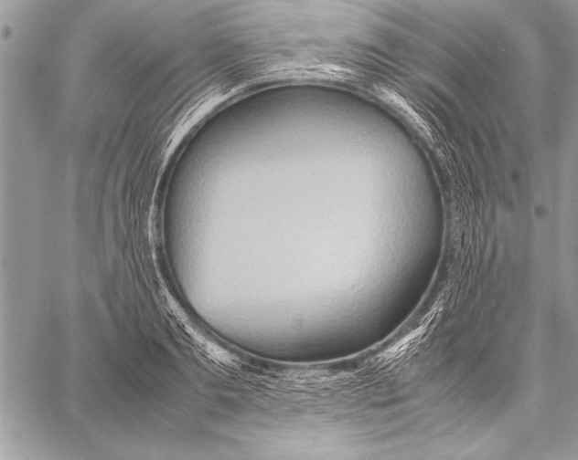 X0000057580893200510171705