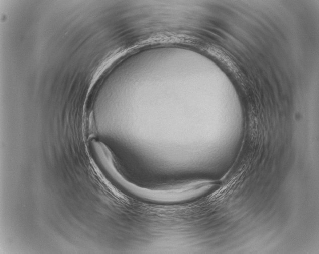 X0000057580894200510171705