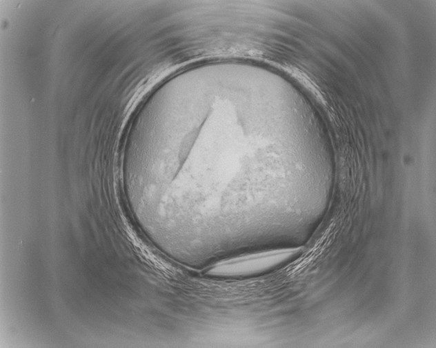 X0000057580895200510171705