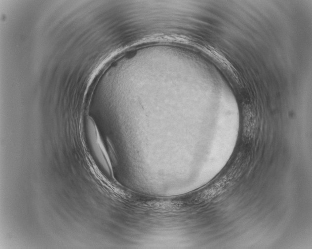 X0000057580896200510171705