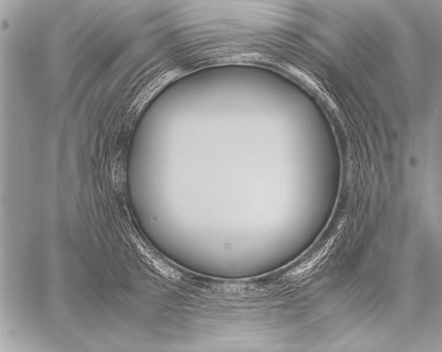 X0000057580897200510171705