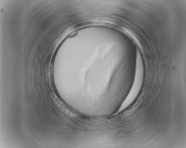 X0000057580899200510171705