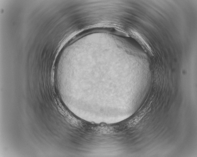 X0000057580900200510171705