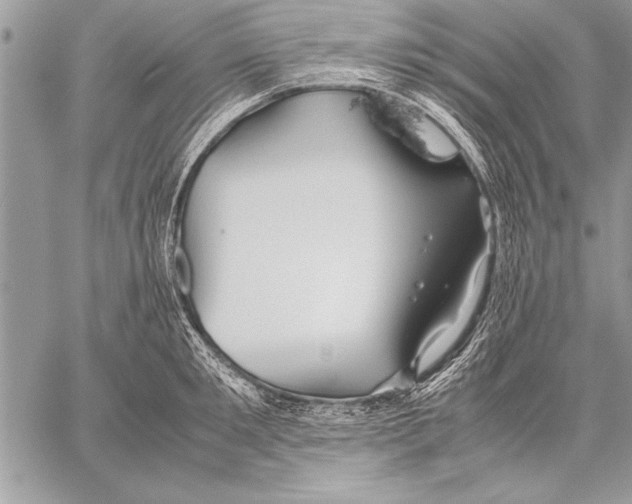 X0000057580901200510171705