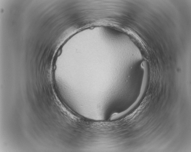 X0000057580902200510171705