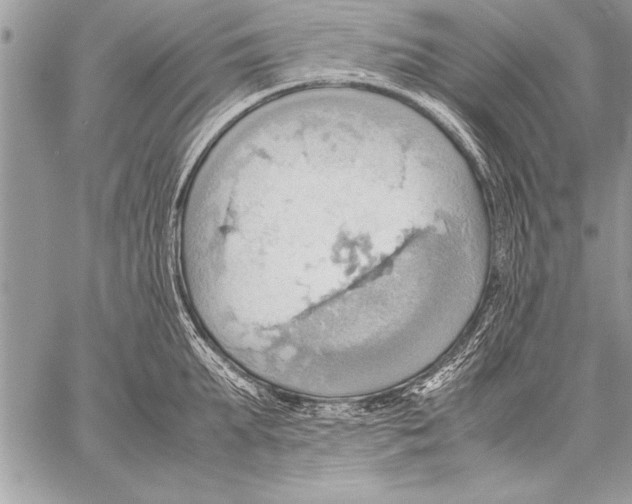 X0000057580903200510171704